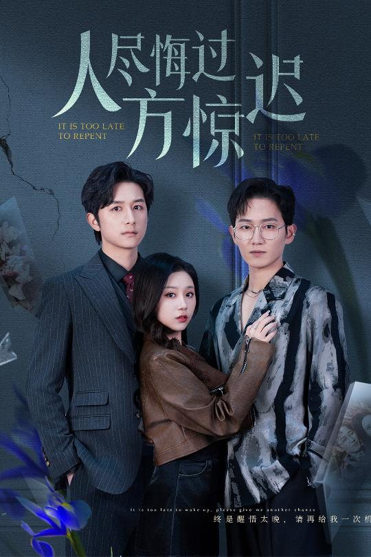 人尽悔过方惊迟电影海报