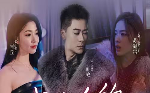 我的合约总裁未婚妻电影海报