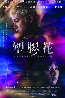 塑胶花电影海报
